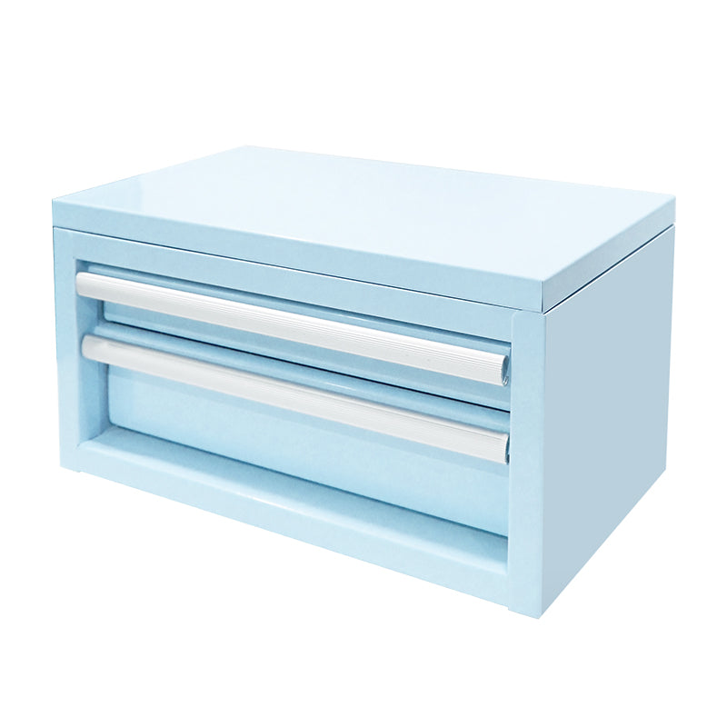 Custom Purple Garage Tool Cabinet | Wall-Mounted or Freestanding Options